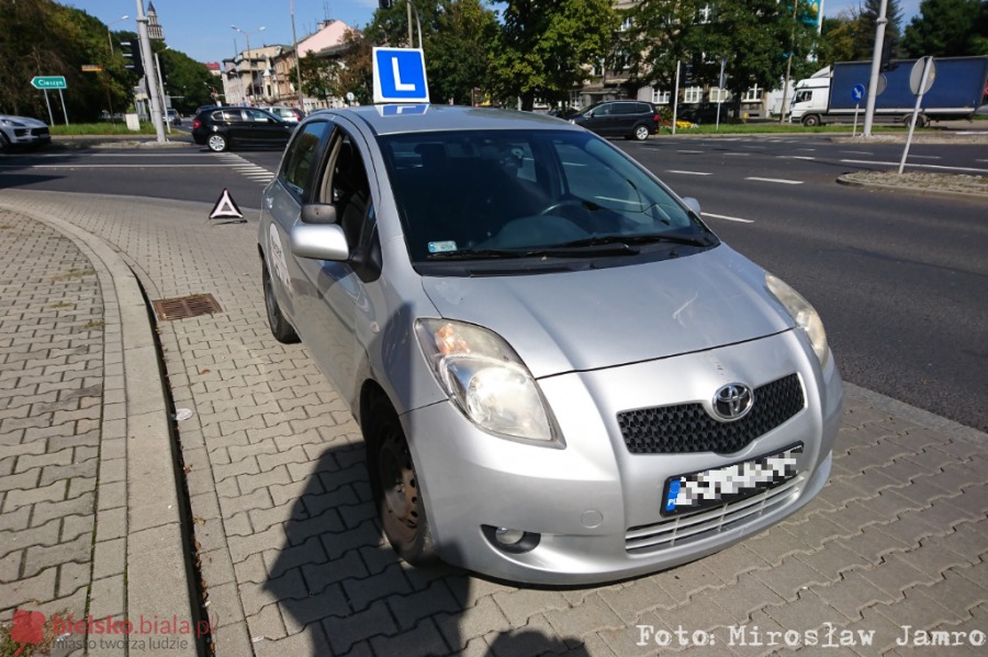 Dzikie zwierzęta odwiedzają miasto, ale przepisy nie nadążają