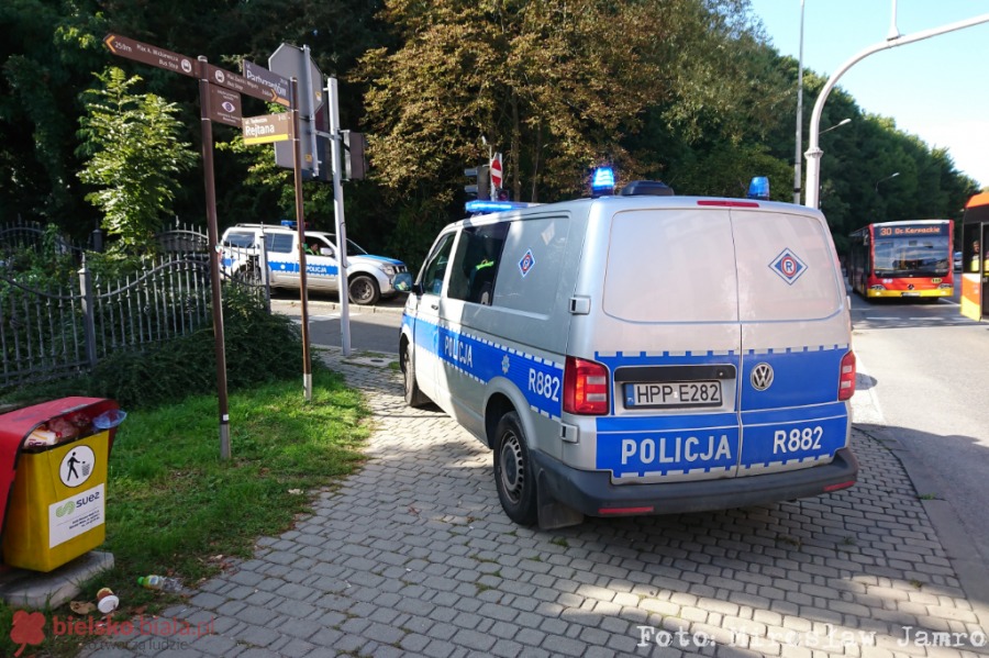 Dzikie zwierzęta odwiedzają miasto, ale przepisy nie nadążają
