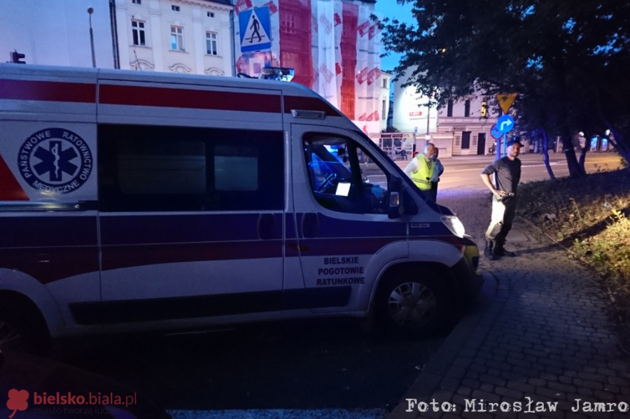Dzikie zwierzęta odwiedzają miasto, ale przepisy nie nadążają