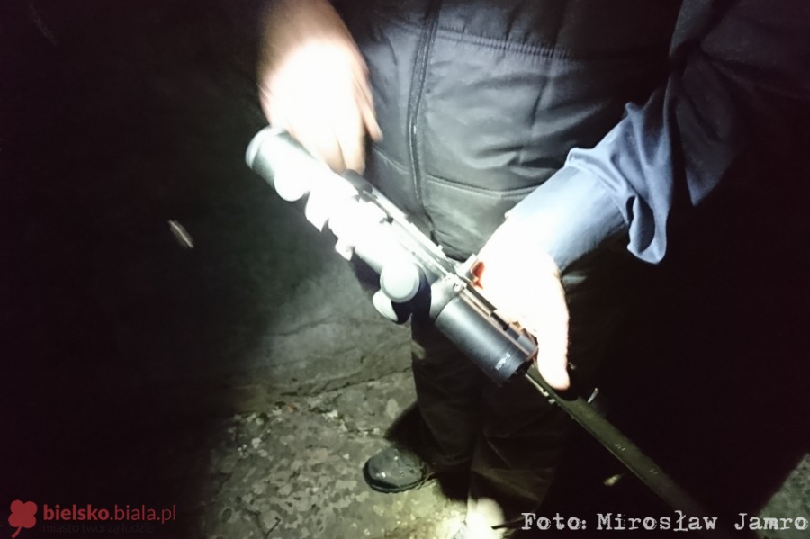 Dzikie zwierzęta odwiedzają miasto, ale przepisy nie nadążają