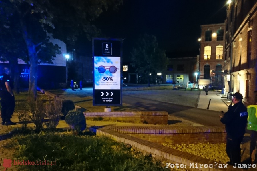 Dzikie zwierzęta odwiedzają miasto, ale przepisy nie nadążają