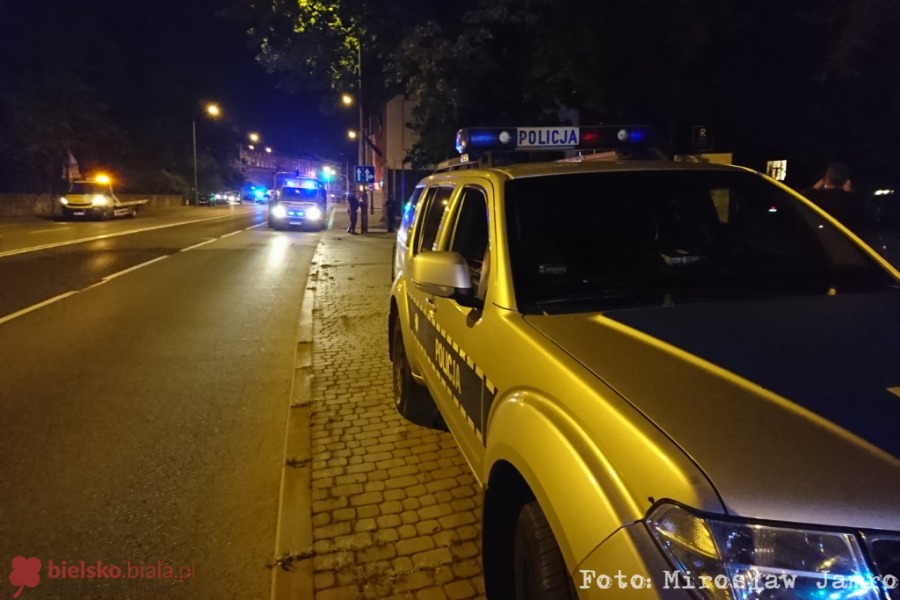 Dzikie zwierzęta odwiedzają miasto, ale przepisy nie nadążają