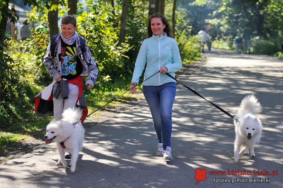 Tłum na starcie biegu w Wapienicy. Biegliśmy z Mają dla Zuzi i Zuzi  - ZDJĘCIA