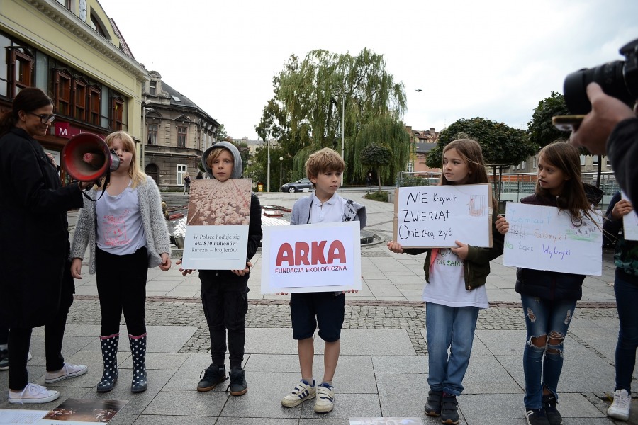Apelują o ograniczenie spożycia mięsa. Reklamy pokazują sielankę!