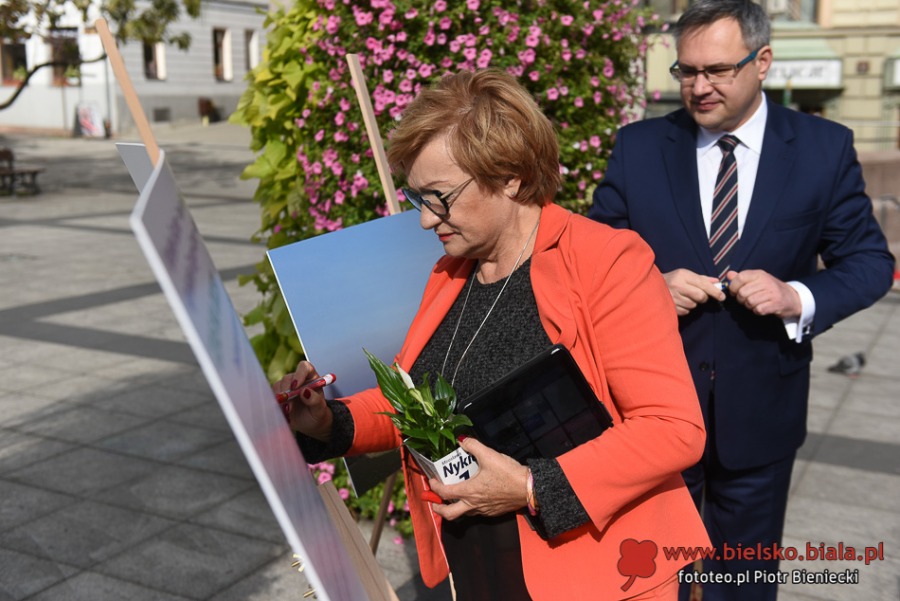 Poseł poparł strajk. Dzisiaj naszym wnukom gotujemy piekło - foto