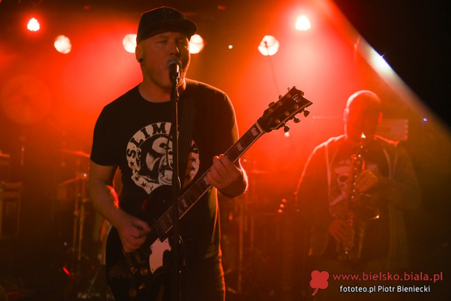 Dog Eat Dog w Rudeboy. Publiczność nosiła muzyków na rękach! ZDJĘCIA
