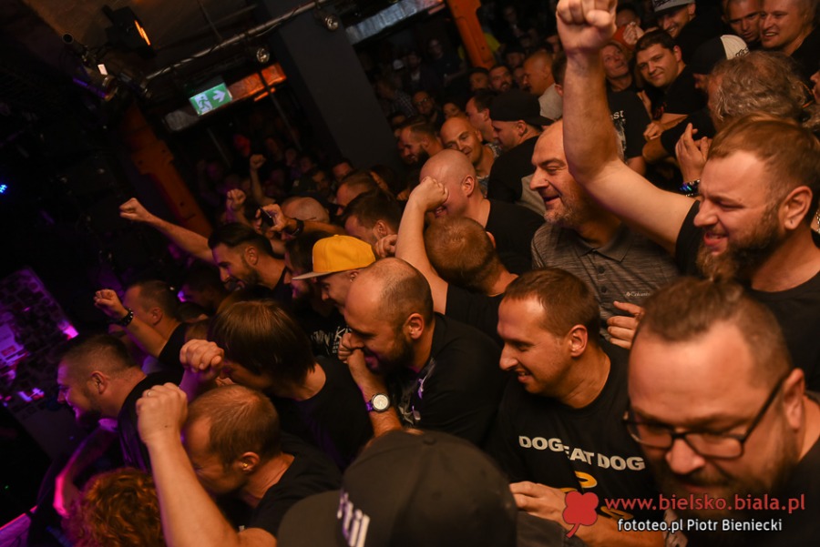 Dog Eat Dog w Rudeboy. Publiczność nosiła muzyków na rękach! ZDJĘCIA