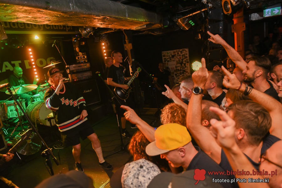 Dog Eat Dog w Rudeboy. Publiczność nosiła muzyków na rękach! ZDJĘCIA