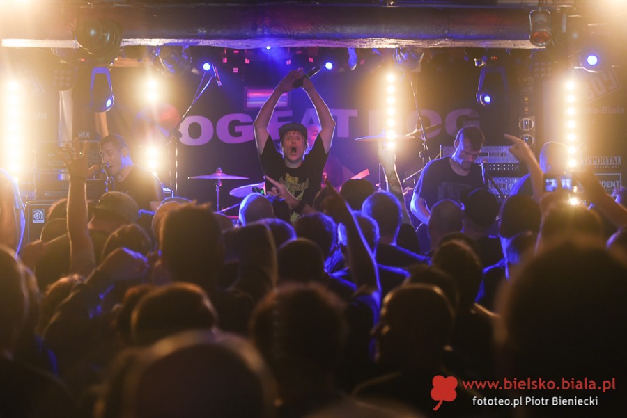 Dog Eat Dog w Rudeboy. Publiczność nosiła muzyków na rękach! ZDJĘCIA