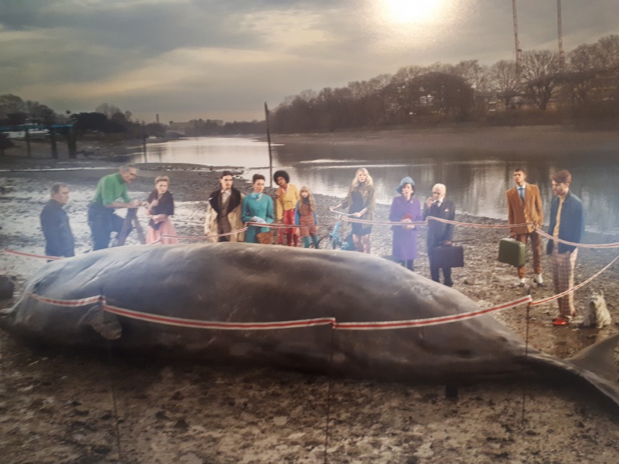 Zdjęcia kradną emocje. Spojrzenie na Bielsko-Białą, jakiego nie znacie ZDJĘCIA