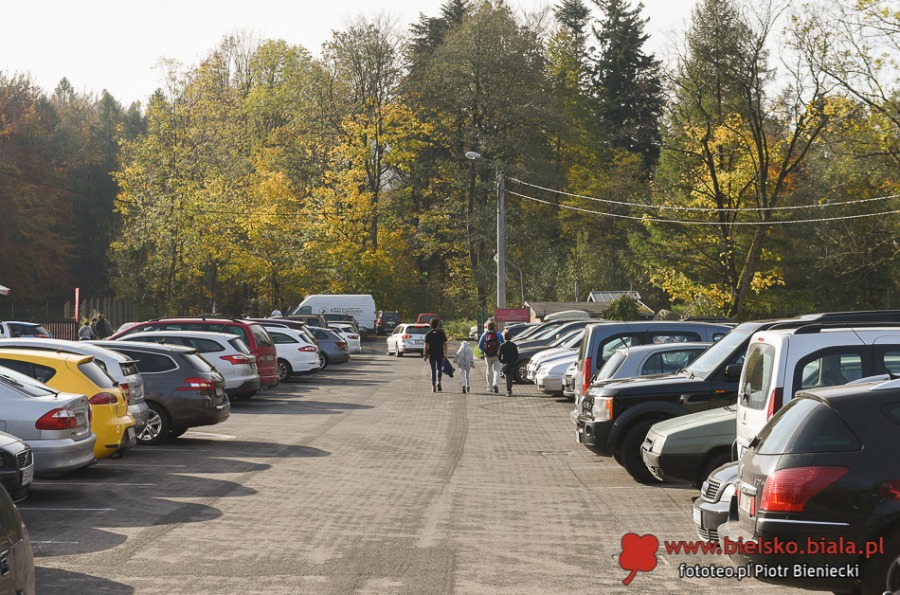 Spacer po koronie. Tysiące bielszczan skorzystało z okazji ZDJĘCIA
