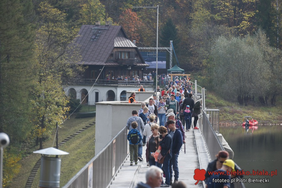 Spacer po koronie. Tysiące bielszczan skorzystało z okazji ZDJĘCIA
