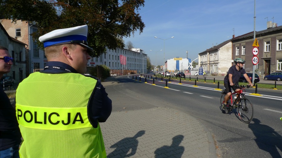 Las elastycznych słupków wyrósł na Partyzantów. Abyśmy jeździli wolniej - foto