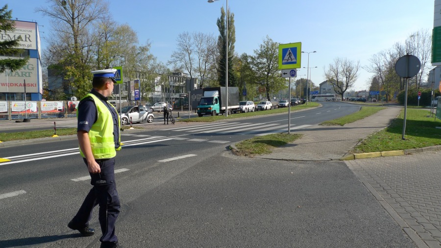 Las elastycznych słupków wyrósł na Partyzantów. Abyśmy jeździli wolniej - foto