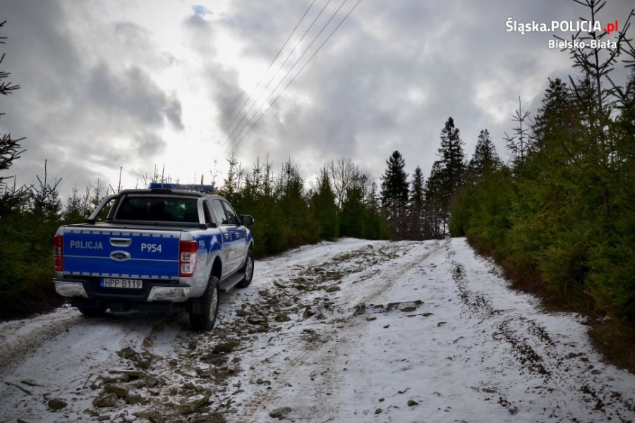 Policyjny ford ranger na górskich bezdrożach. Przeciw złodziejom choinek ZDJĘCIA