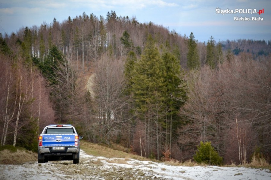 Policyjny ford ranger na górskich bezdrożach. Przeciw złodziejom choinek ZDJĘCIA