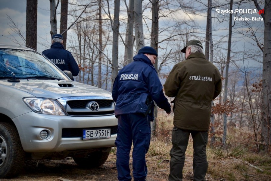 Policyjny ford ranger na górskich bezdrożach. Przeciw złodziejom choinek ZDJĘCIA