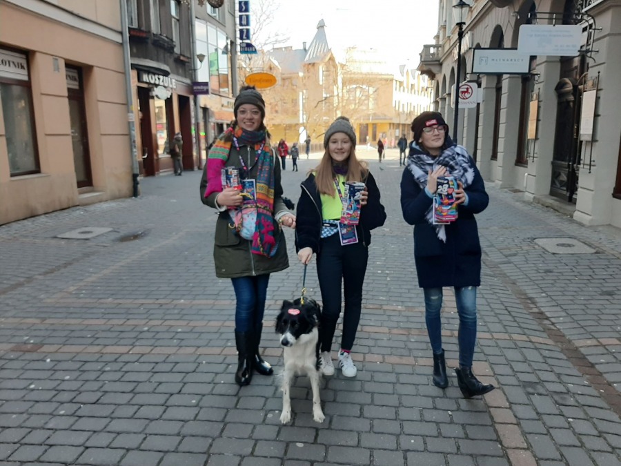 Bielszczanie wspierają 28. Finał WOŚP. Datki zbiera aż 500 wolontariuszy! - foto