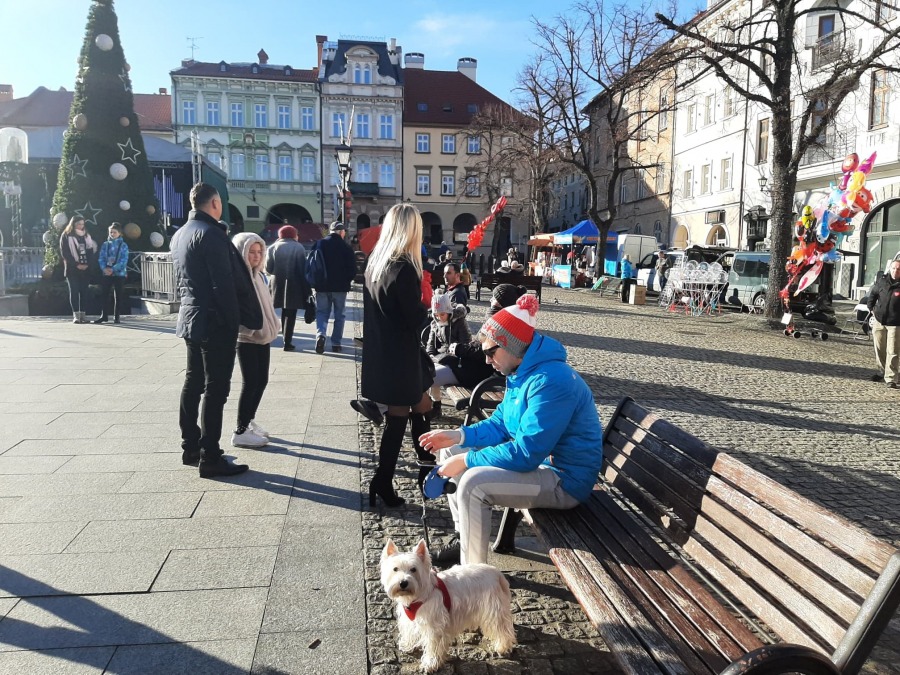 Co nas czeka dziś na Rynku? Telefoniczna licytacja złotego serduszka! - foto