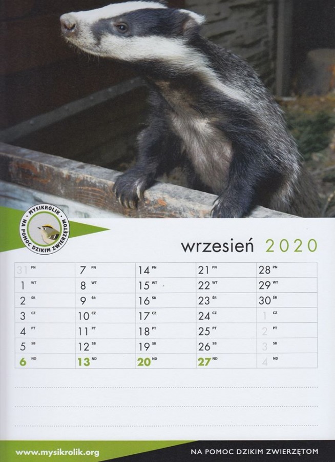 W rok uratowali kilkaset dzikich zwierząt. Teraz każdy może im pomóc - foto