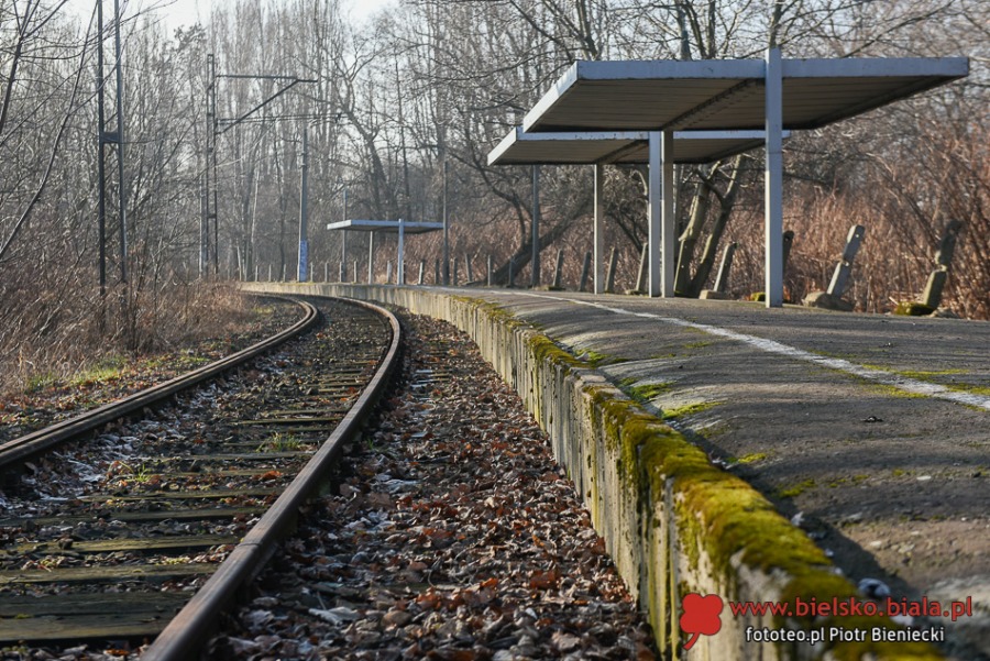 Połamane szlabany. Obraz nędzy i rozpaczy na trasie do Cieszyna ZDJĘCIA