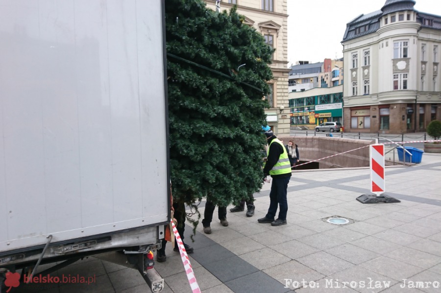 Znikają świąteczne ozdoby. Tiry z choinkami wyjechały z Bielska-Białej - foto