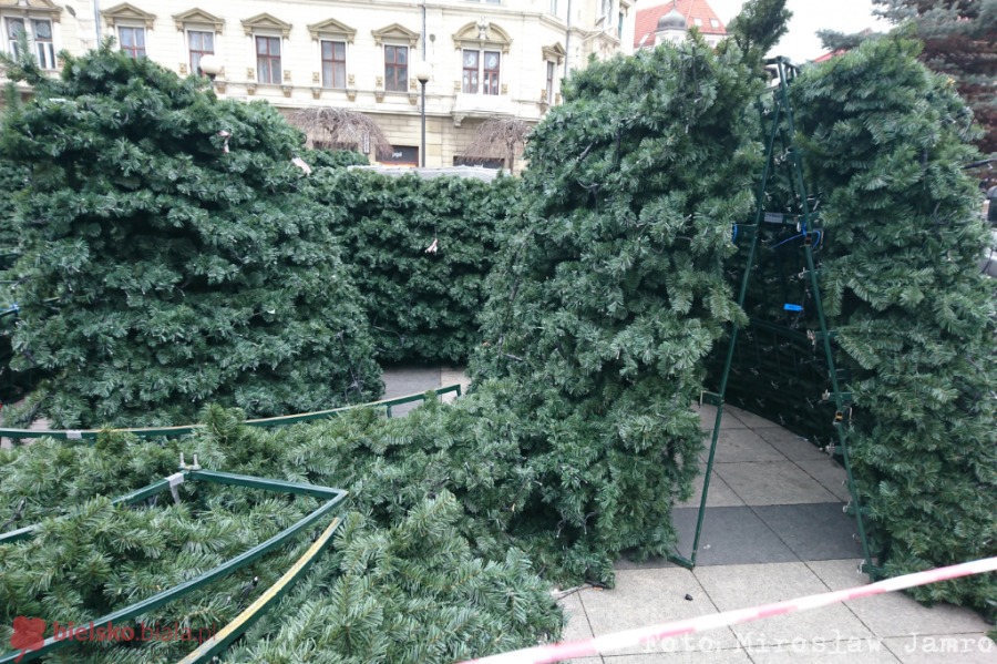 Znikają świąteczne ozdoby. Tiry z choinkami wyjechały z Bielska-Białej - foto