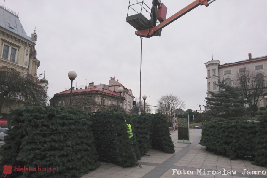 Znikają świąteczne ozdoby. Tiry z choinkami wyjechały z Bielska-Białej - foto