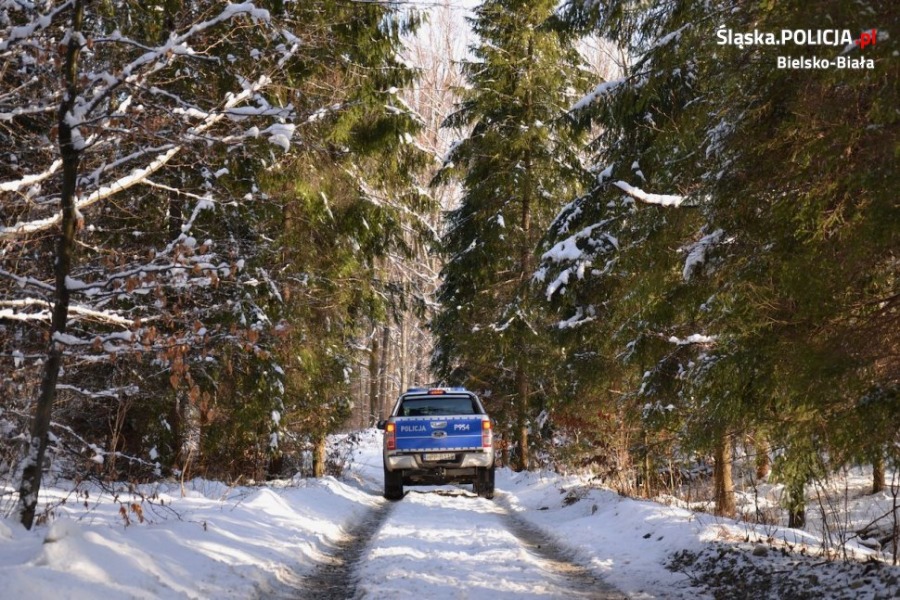 Quady rozjeżdżają góry. Akcja policji na Szyndzielni, Dębowcu i Przegibku - foto