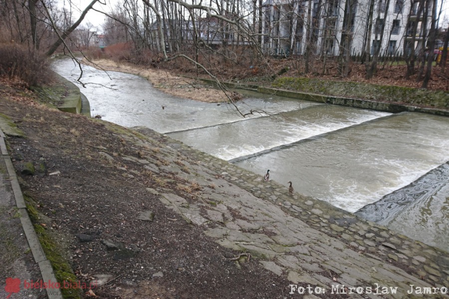 Bulwar nadbrzeżny nad Białą. Ambitny plan rewitalizacji dwóch parków