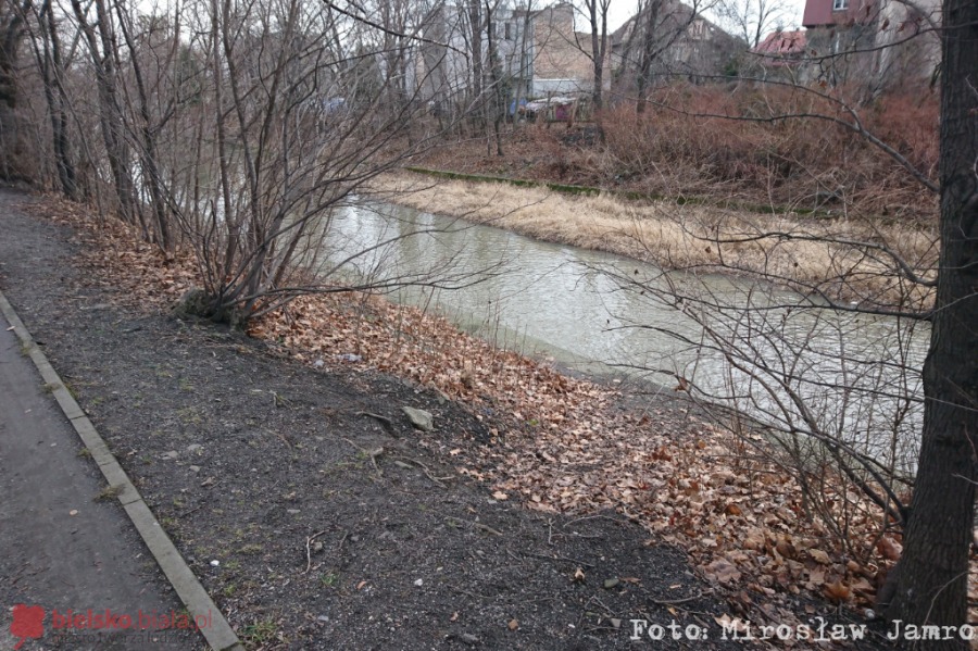Bulwar nadbrzeżny nad Białą. Ambitny plan rewitalizacji dwóch parków