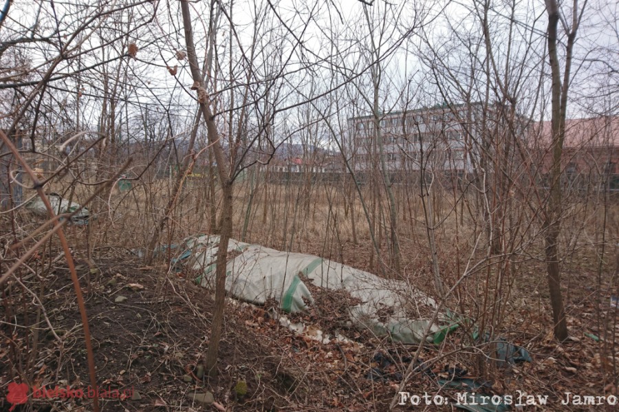 Bulwar nadbrzeżny nad Białą. Ambitny plan rewitalizacji dwóch parków