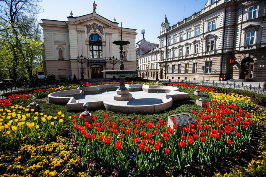Miasto oniemiało. Rozkwitły drzewa owocowe w centrum Bielska-Białej - foto