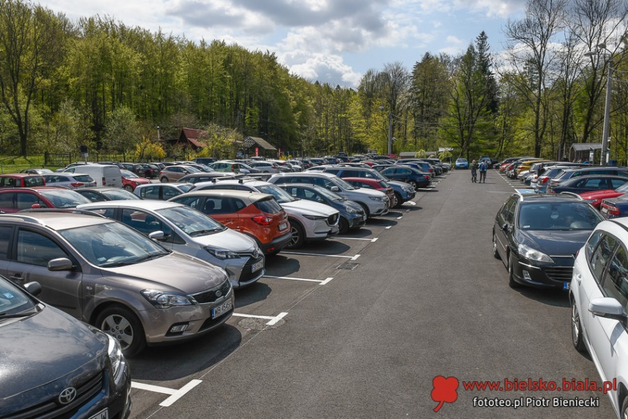 Rozluźnienie na szlakach spacerowych. Bez maseczek i dystansu ZDJĘCIA