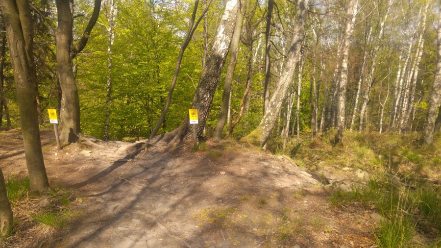 Bielska atrakcja turystyczna. Górskie trasy kuszą po modernizacji - foto