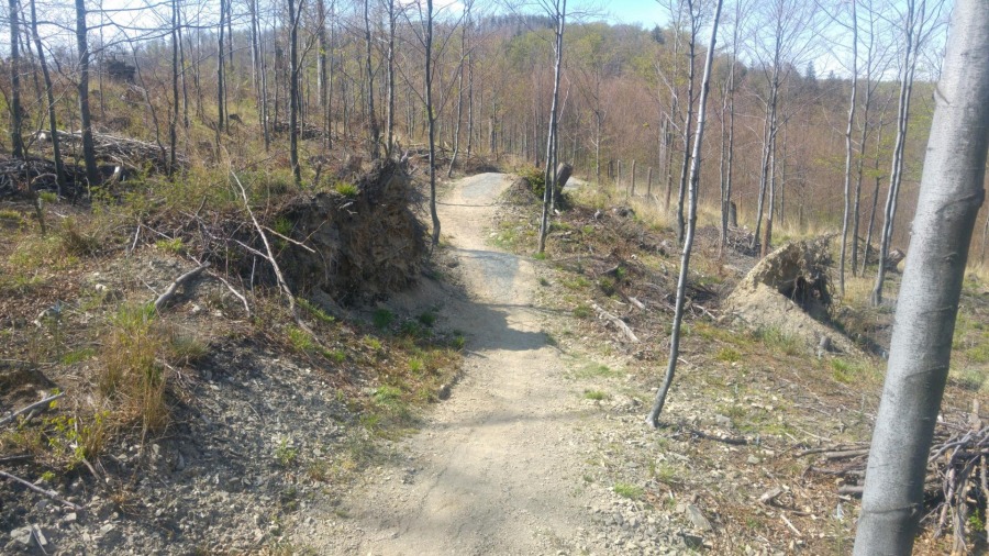 Bielska atrakcja turystyczna. Górskie trasy kuszą po modernizacji - foto