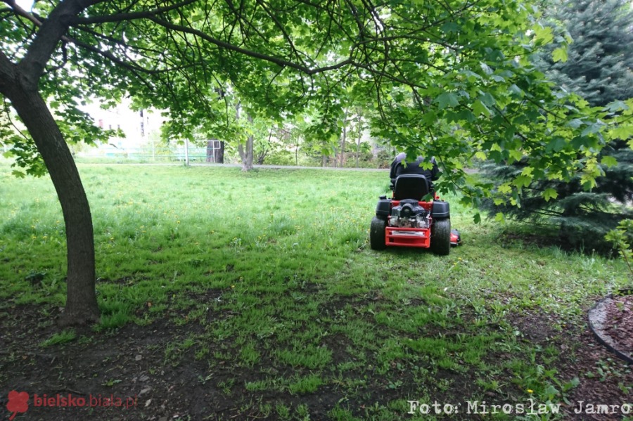 Koszą trawę w parku Włókniarzy. Stan suszy został odwołany? - foto