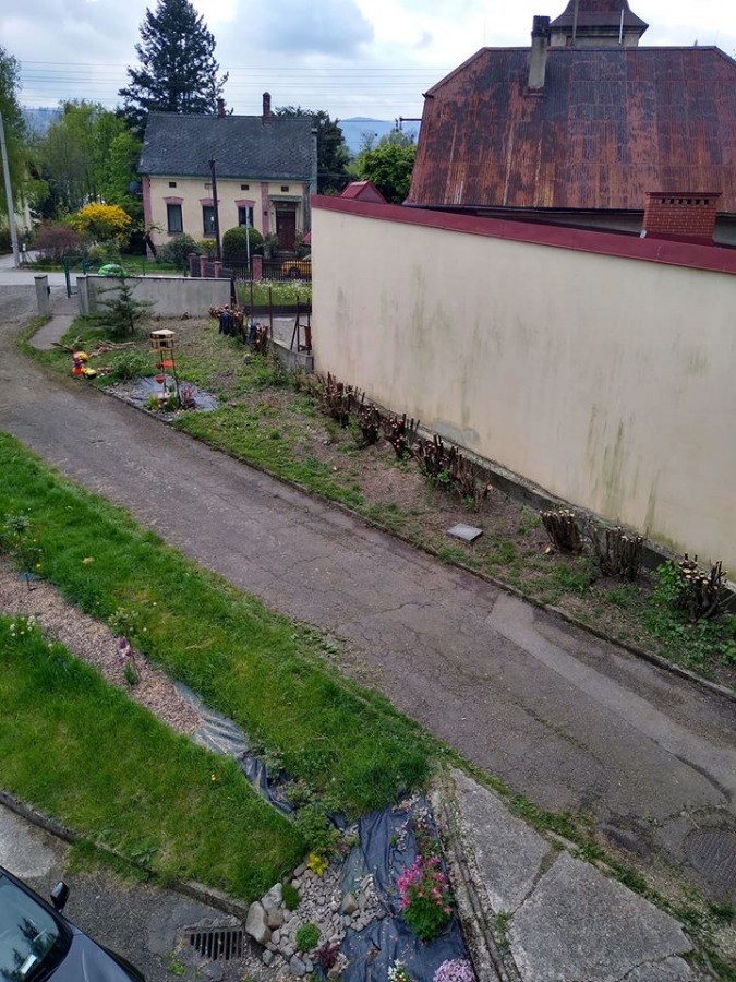 Mieli przyciąć, a wycięli wszystko! ZGM obiecuje odtworzyć roślinność - foto