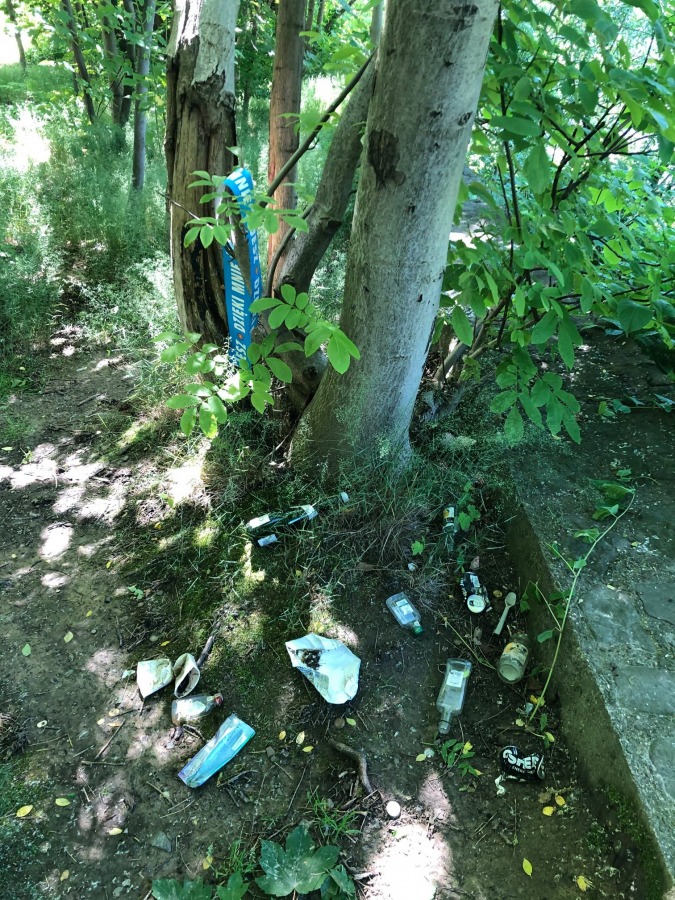 Plastikowe szarfy zostały po ekologach. Akcja sprzątania parku - foto