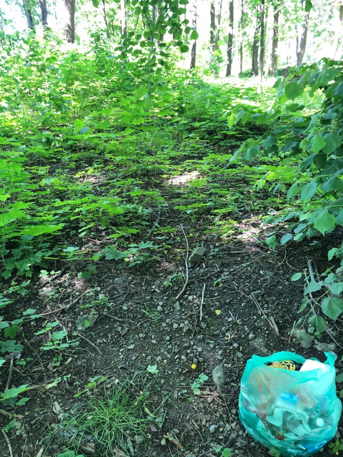 Plastikowe szarfy zostały po ekologach. Akcja sprzątania parku - foto