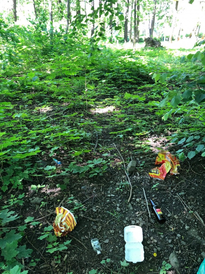 Plastikowe szarfy zostały po ekologach. Akcja sprzątania parku - foto