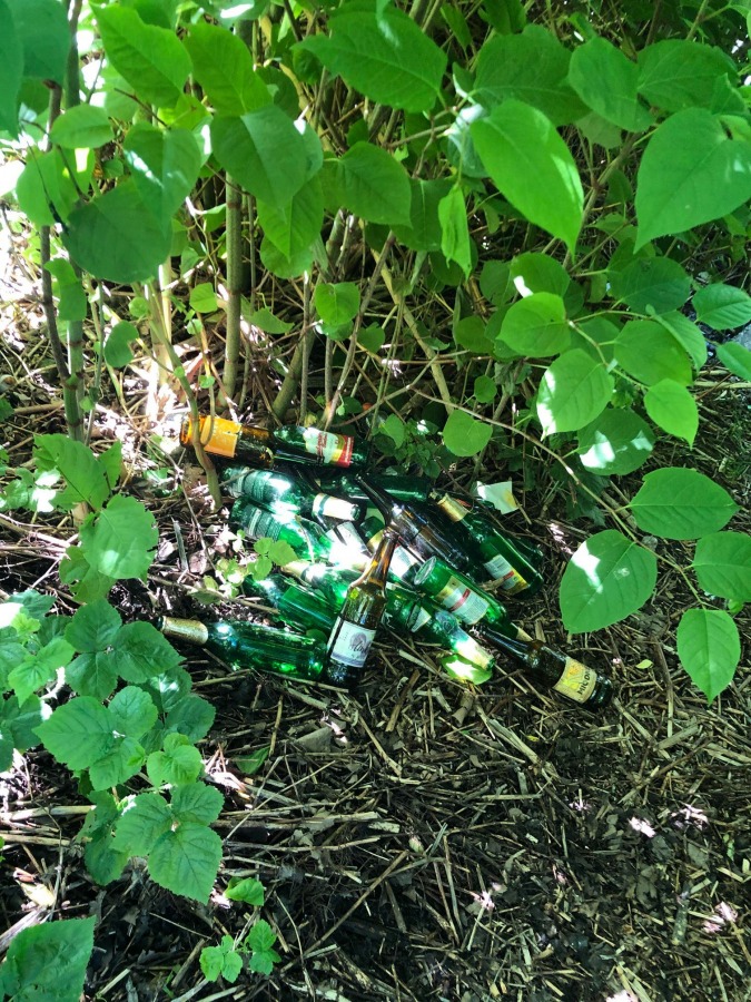 Plastikowe szarfy zostały po ekologach. Akcja sprzątania parku - foto