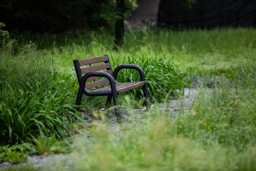 Wykoszenia trwają cały czas. „Nie możemy zostawić miasta zachwaszczonego” - foto