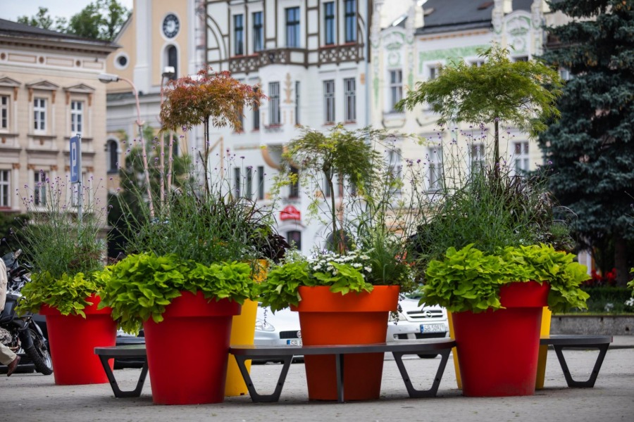 Bielsko-Biała tonie w kwiatach. Może wygrać ogólnopolski plebiscyt - foto