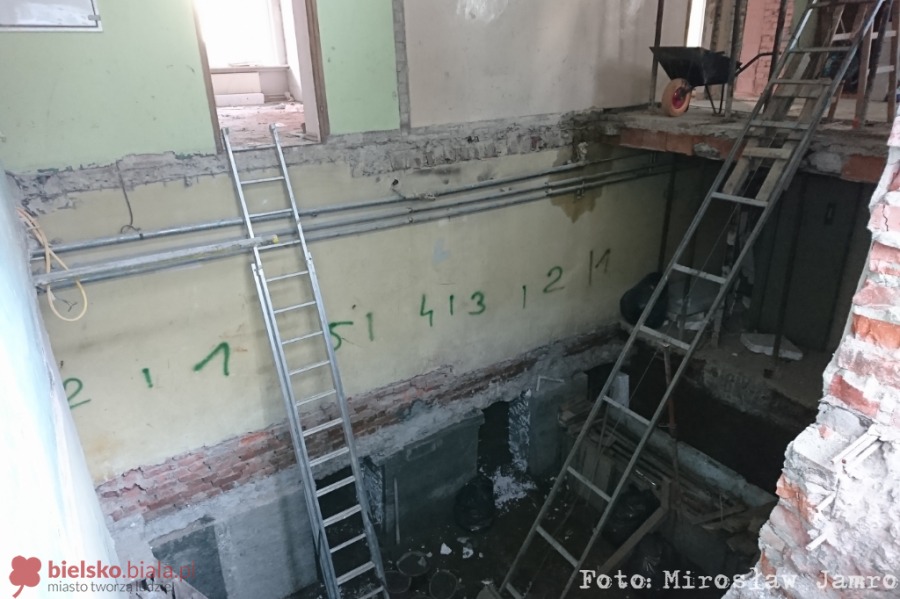 Miasto chce powołać nowy urząd. Z siedzibą po sklepie ogrodniczym ZDJĘCIA