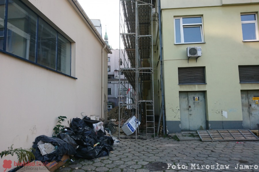 Miasto chce powołać nowy urząd. Z siedzibą po sklepie ogrodniczym ZDJĘCIA
