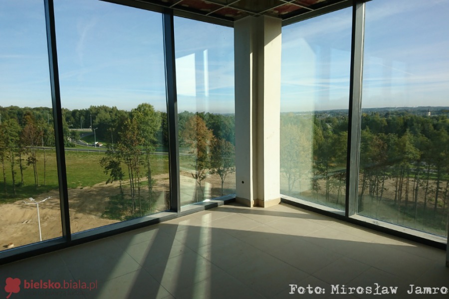 Koniczynka na ugorze. Właściciele chcą zrekonstruować Ondraszka