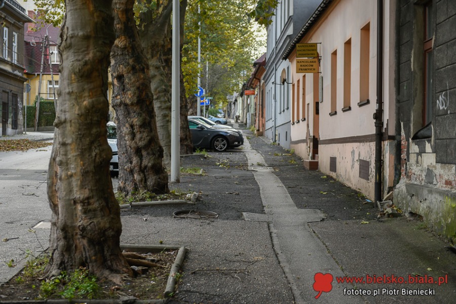 Cieszyńska przed wiekami i dziś. Spacer z prezentacją archiwalnych zdjęć ZDJĘCIA