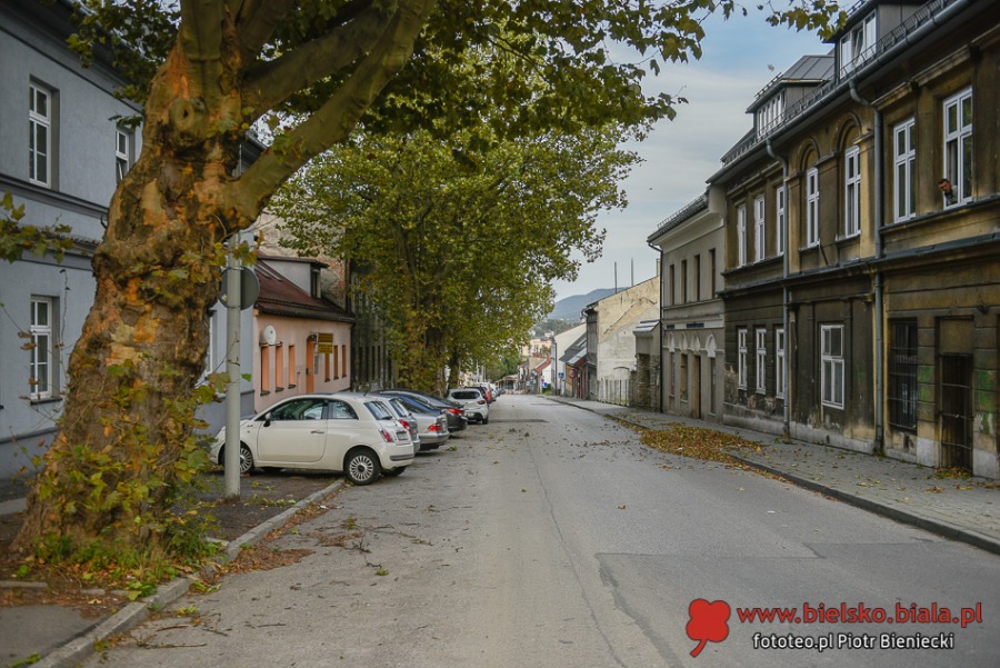 Cieszyńska przed wiekami i dziś. Spacer z prezentacją archiwalnych zdjęć ZDJĘCIA