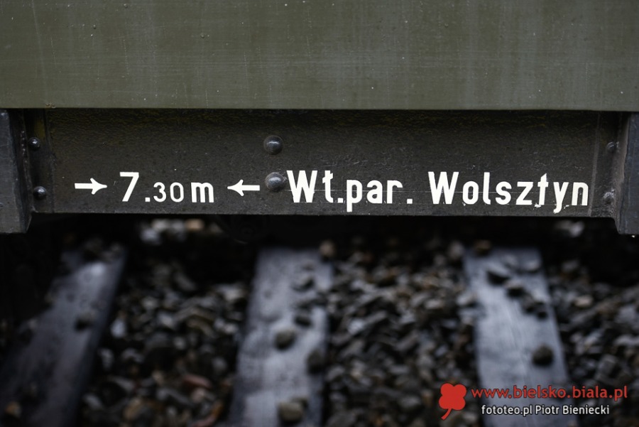 Skansen na stacji Bielsko-Biała Główna. Kolejka do parowozu ZDJĘCIA
